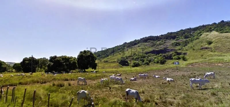 Terreno para venda em Santa Cruz - Rio de Janeiro - RJ