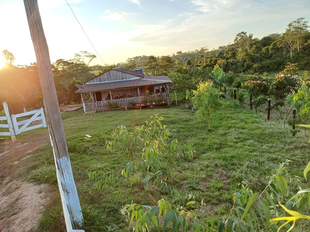 Chácara com 5 hectares