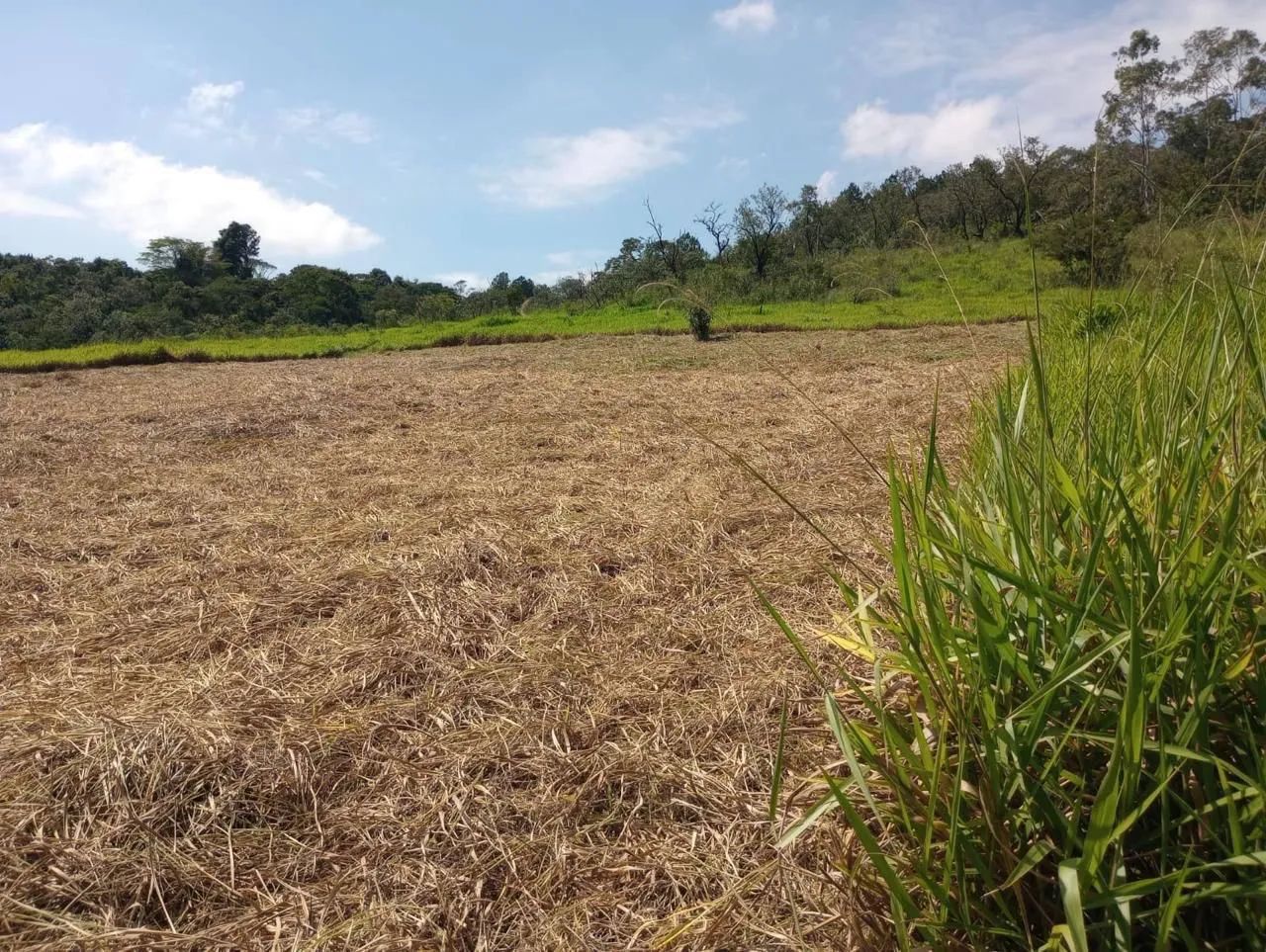 Terreno  em São Roque à Venda com Negociação Direta com o Proprietário - Foto 5