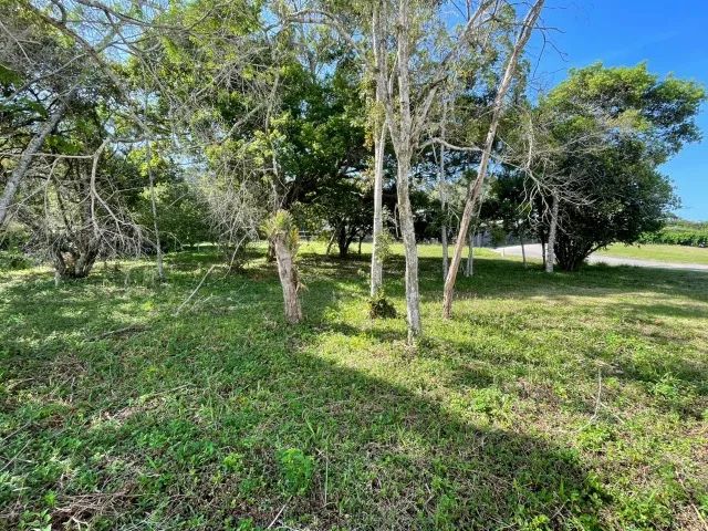 Ótimo terreno 1.302 m2 com escritura pública-Condomínio Ilha do Campeche - Foto 7