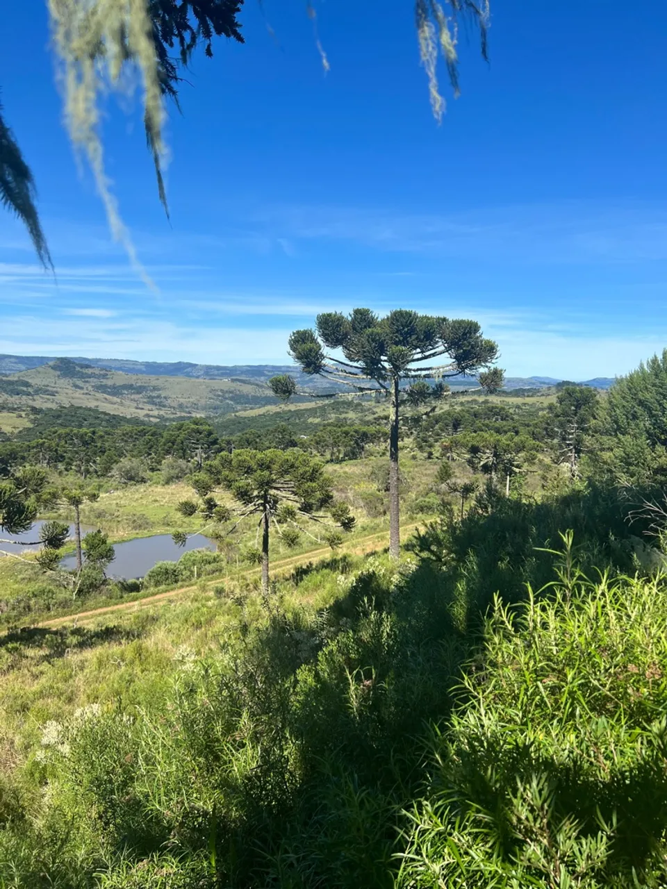Sítio c/ uma vista linda em Urubici
