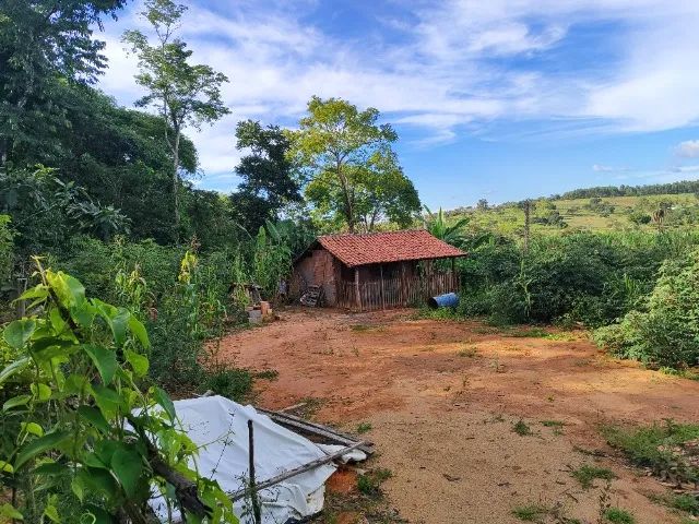 Chácara com pomar em produção - Foto 6