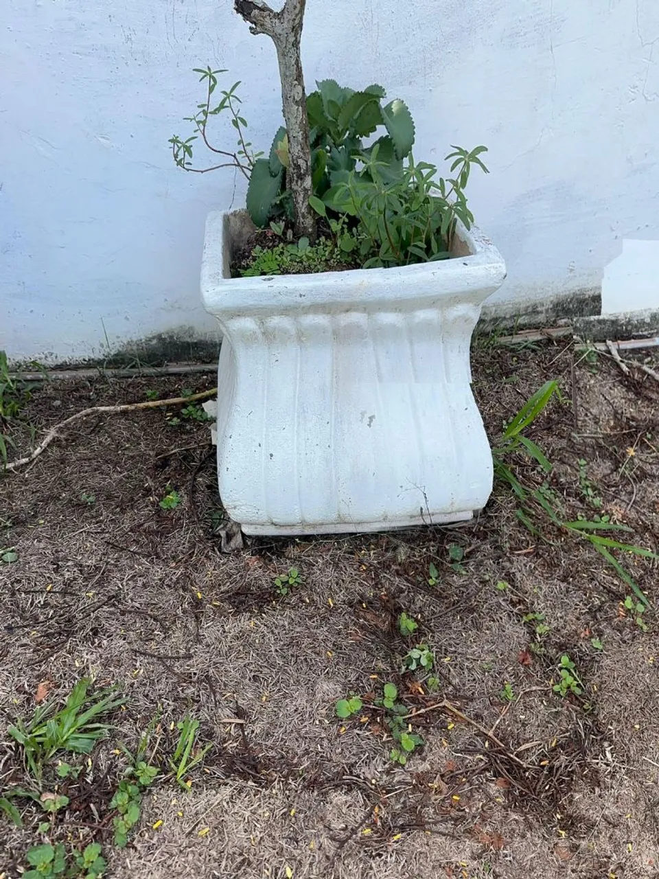 Vaso de Planta em Cimento e barro