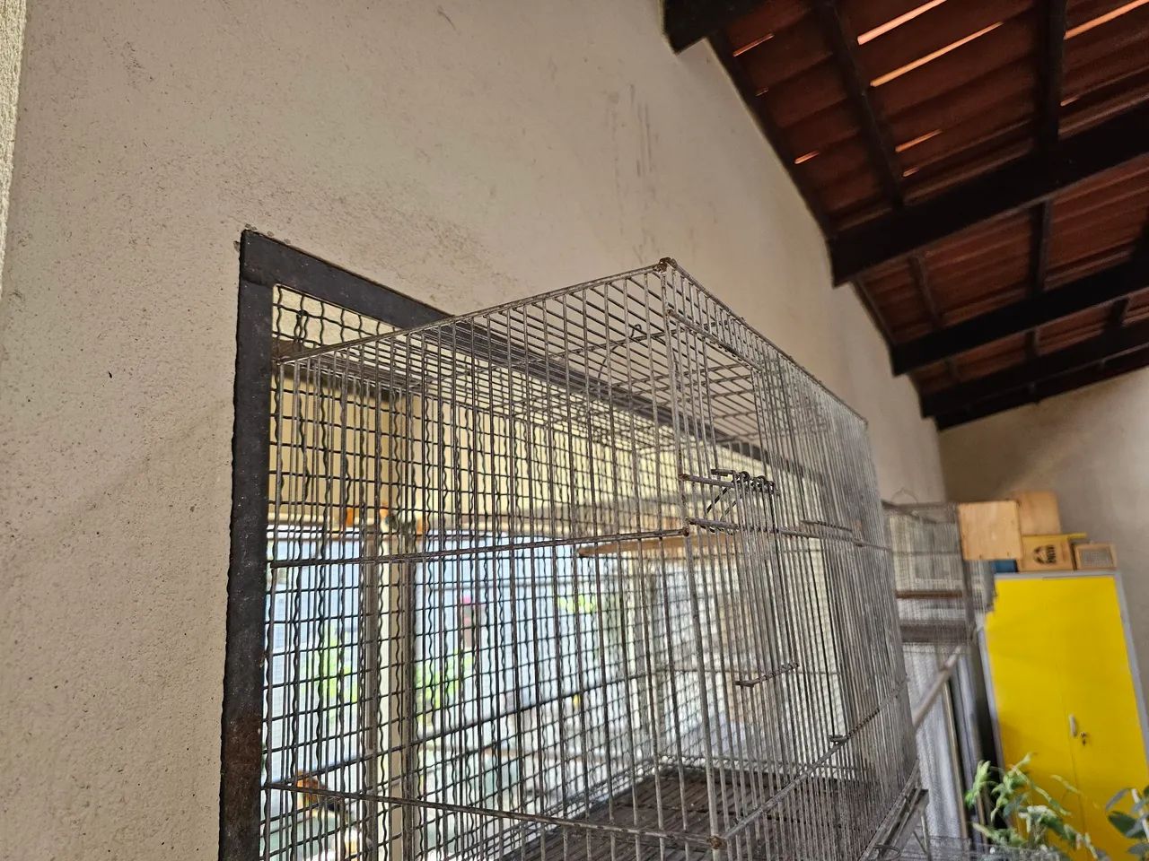 Gaiola64298892412546120