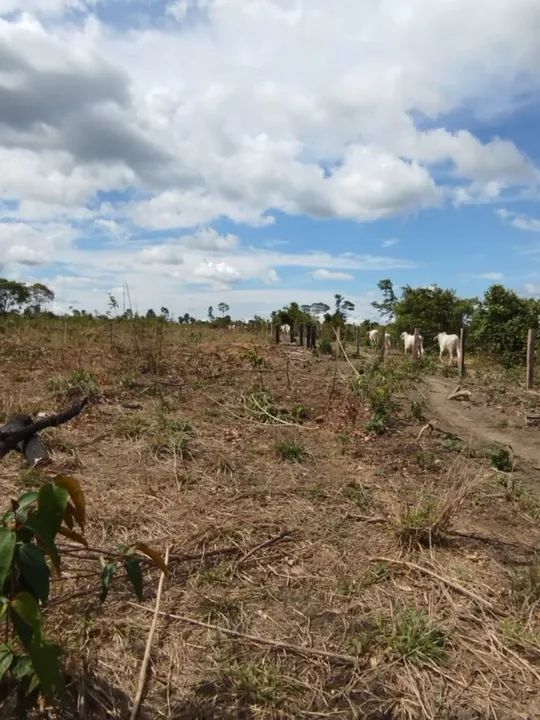 Fazenda  - Foto 5