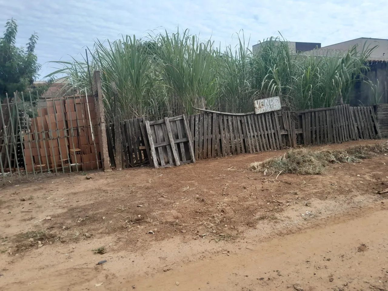 Terreno  - Foto 3