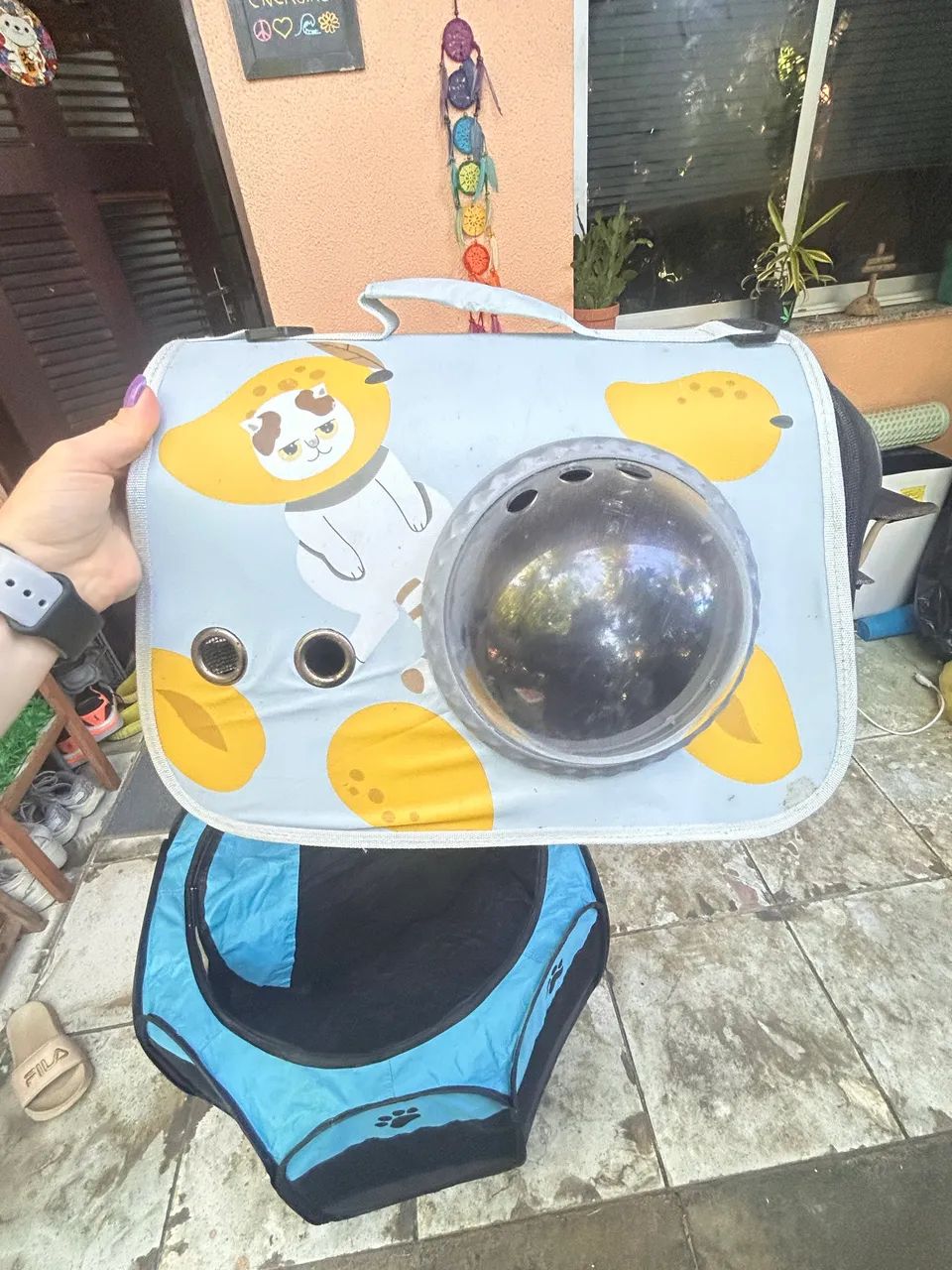 Combo Pet - NOVO - Leia  - Foto 2