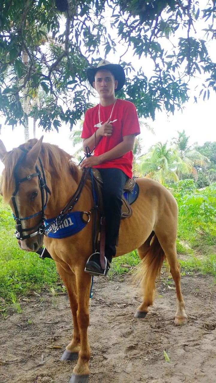 Pra vender os dois  - Foto 6