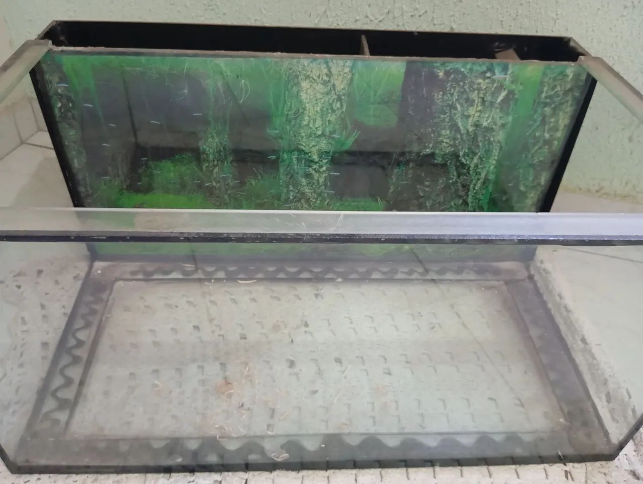 Vendo Aquário com Sump