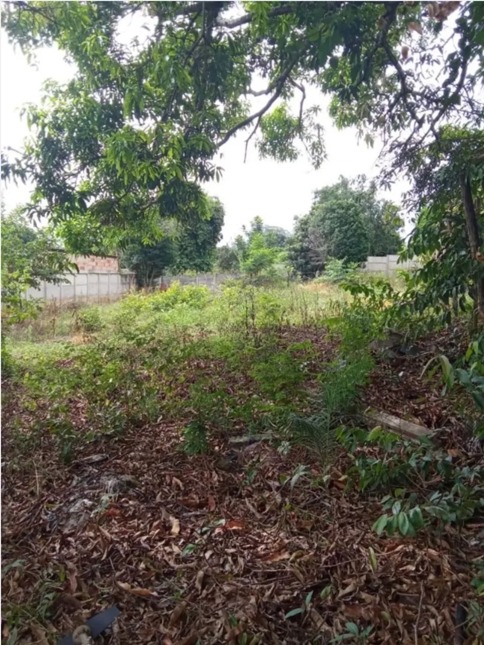 Lote Três Marias