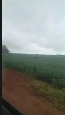 Fazenda à Venda Sul do Pará - Foto 2