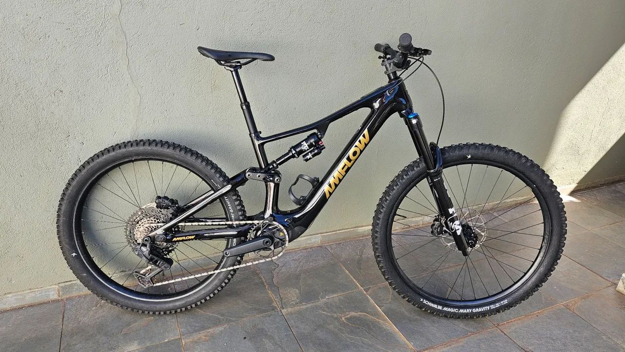 Bicicleta Amflow px carbon