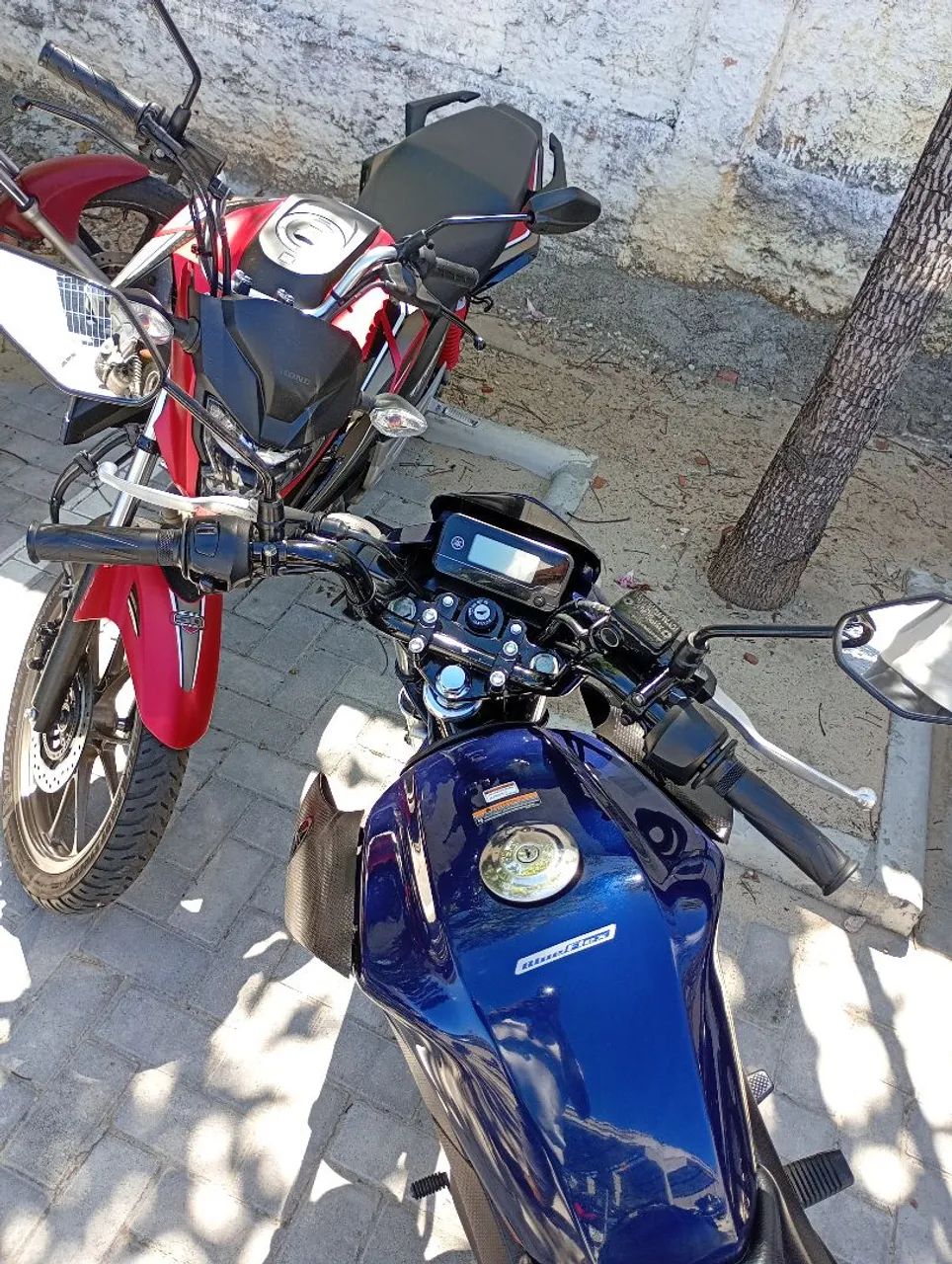 Factor 150 YBR 2024 - Foto 2