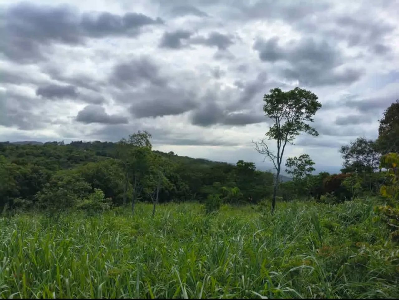 Terreno e lote na serra de mulungu  - Foto 4