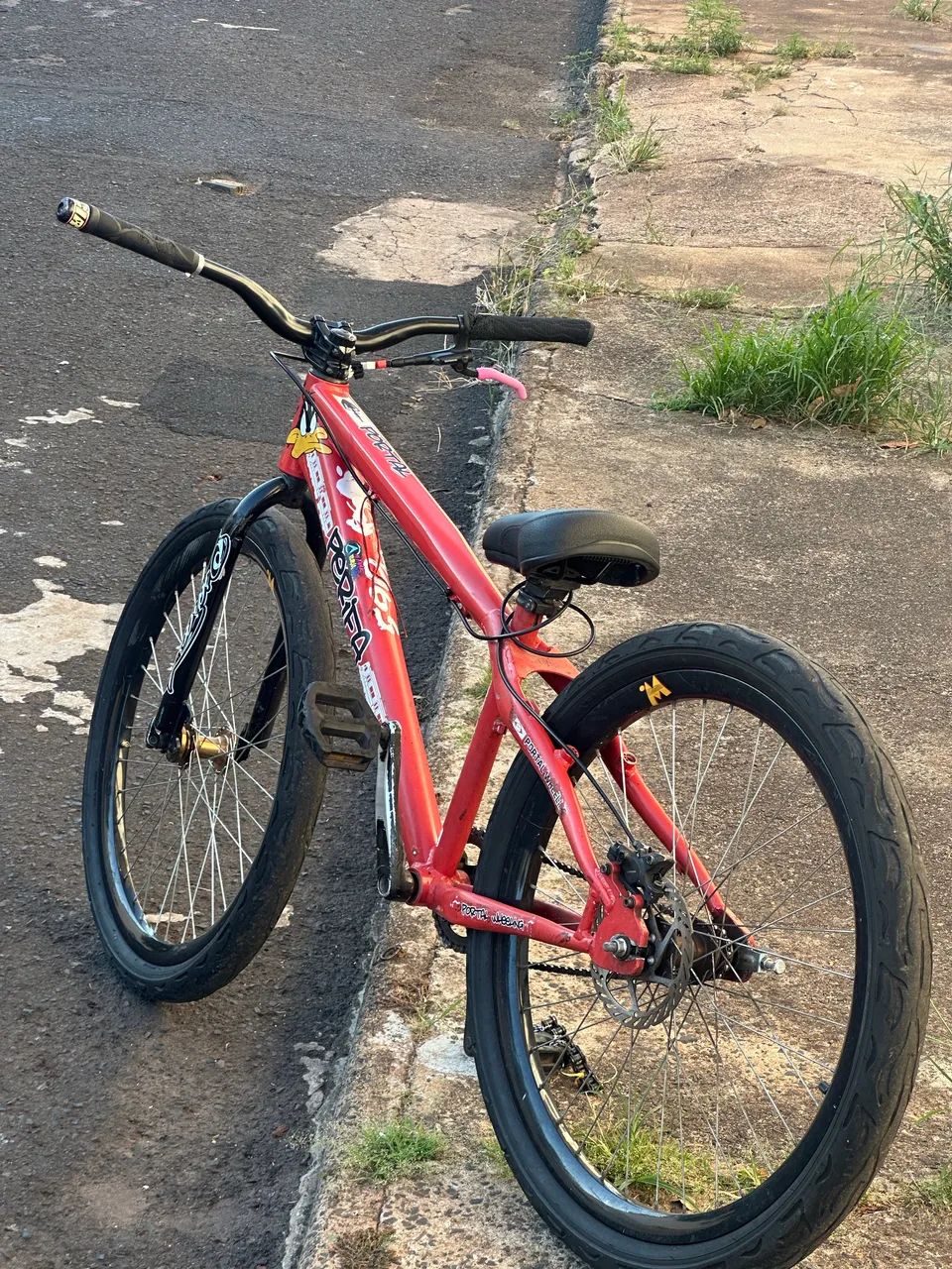 Bicicleta 
