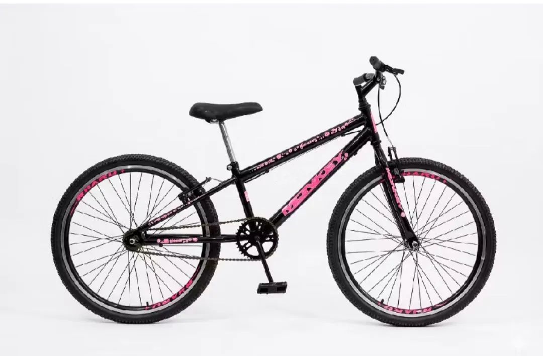 Bicicleta aro 24sem adesivos