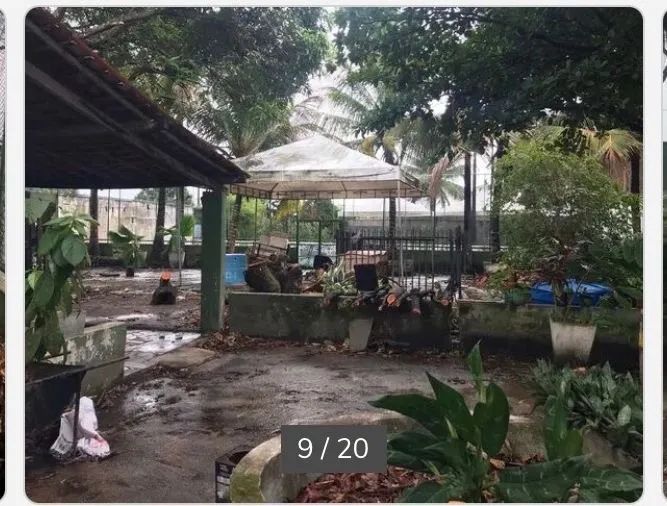 Chácara/Clima Bom I - Foto 3