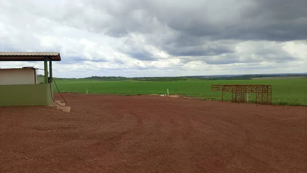 Fazenda em Pedro Afonso - TO 116 Alqueires - Foto 4
