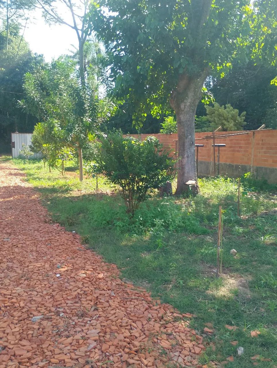 Chácara ótima localização  - Foto 5