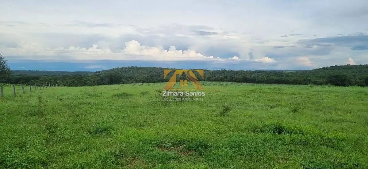 Fazenda com 53,5 Alqueires - Zona Rural - Aparecida do Rio Negro/TO - Foto 4