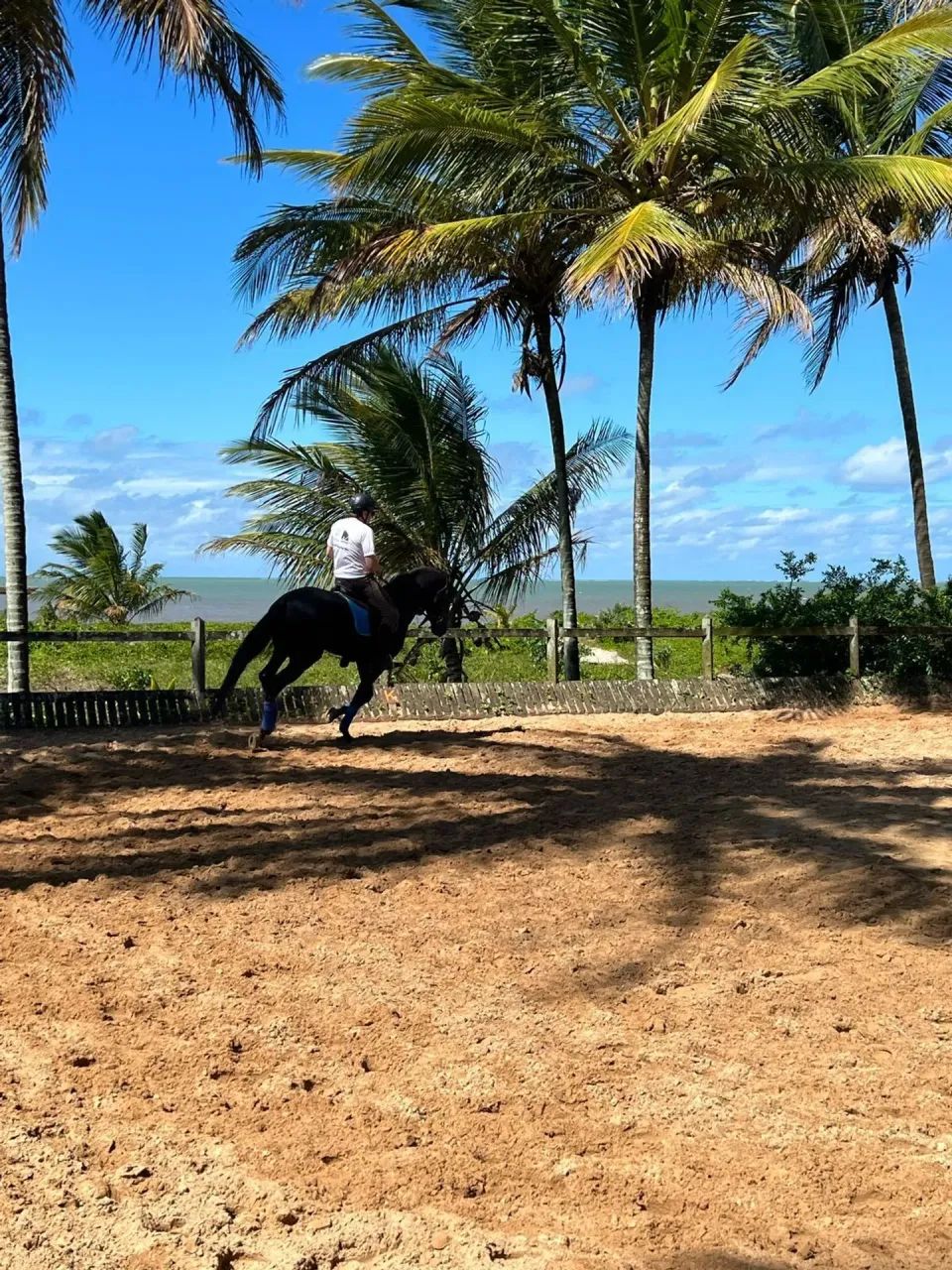 Terreno beira-mar, em Santo André, Bahia - Foto 3