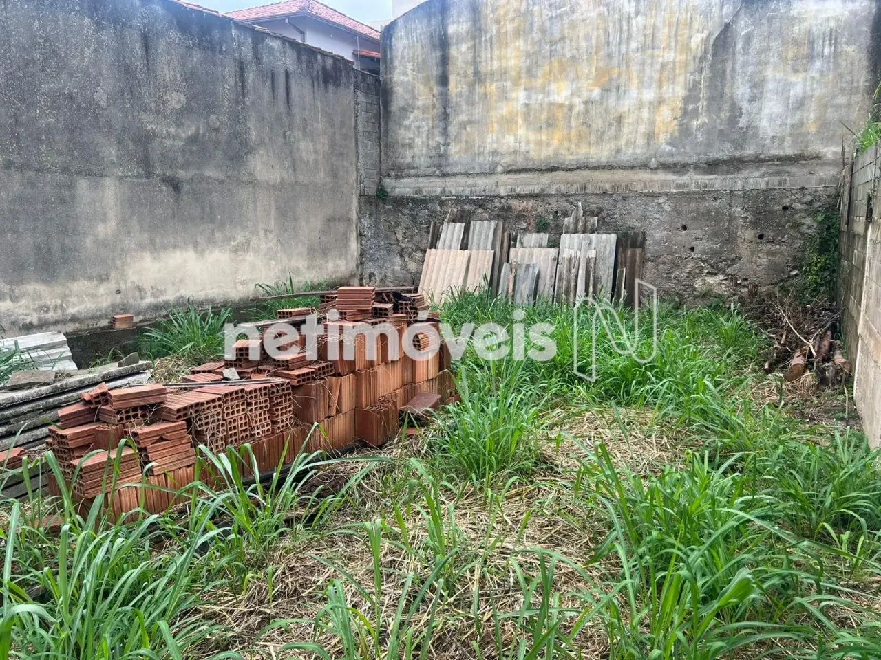 Lote Bairro Goiana - Foto 3