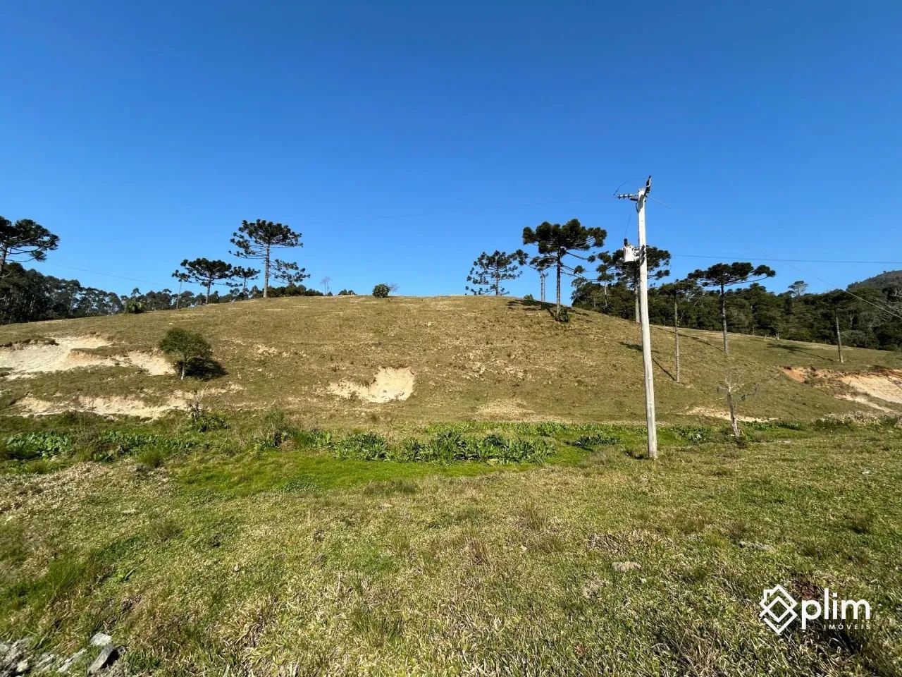Propriedade Rural em Bom Retiro SC com 86 hectares - Foto 4