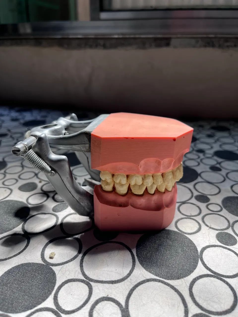 MANEQUIM ODONTOLÓGICO 