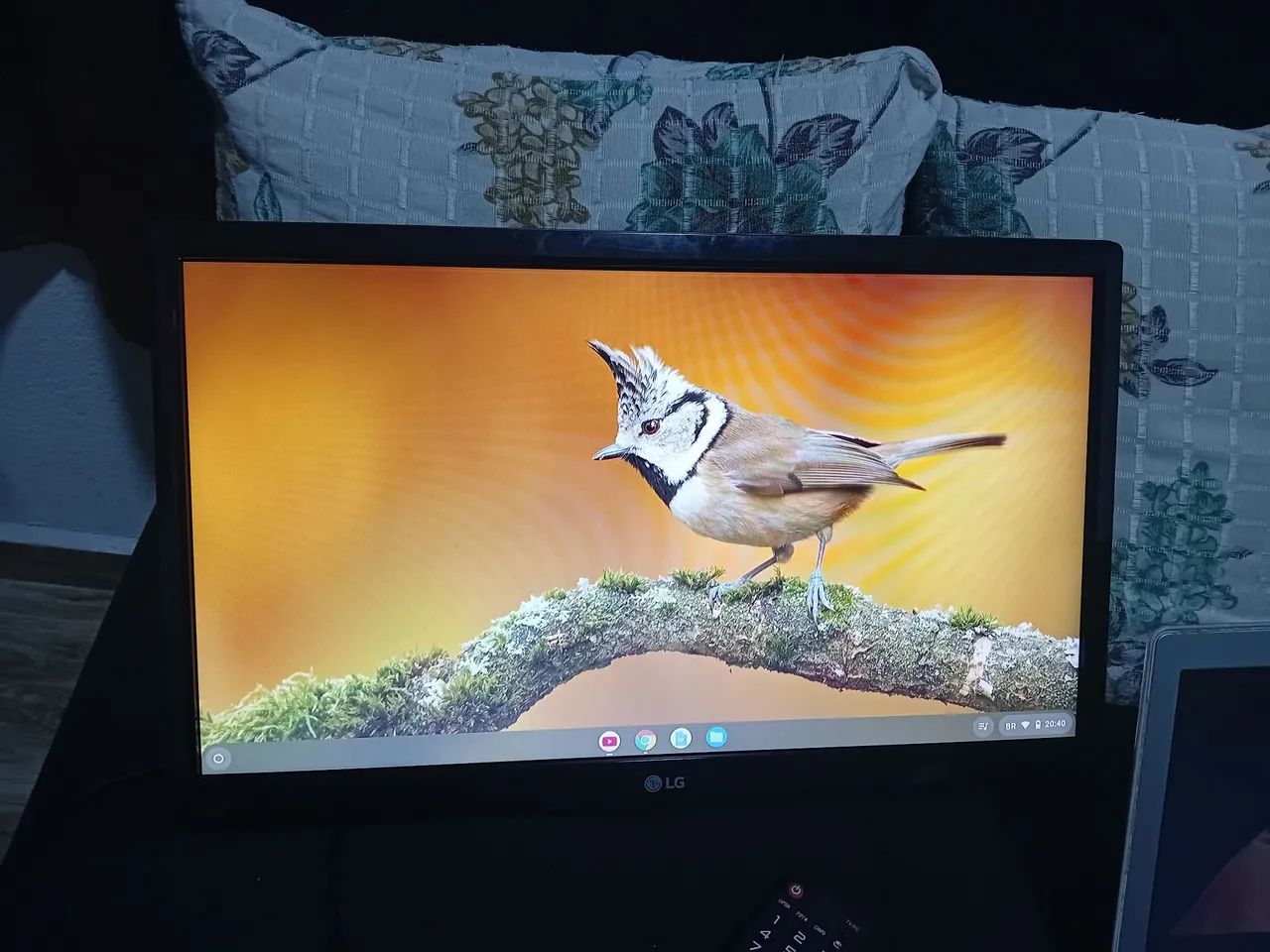 TV Led LG 19.5 polegadas  - Foto 4