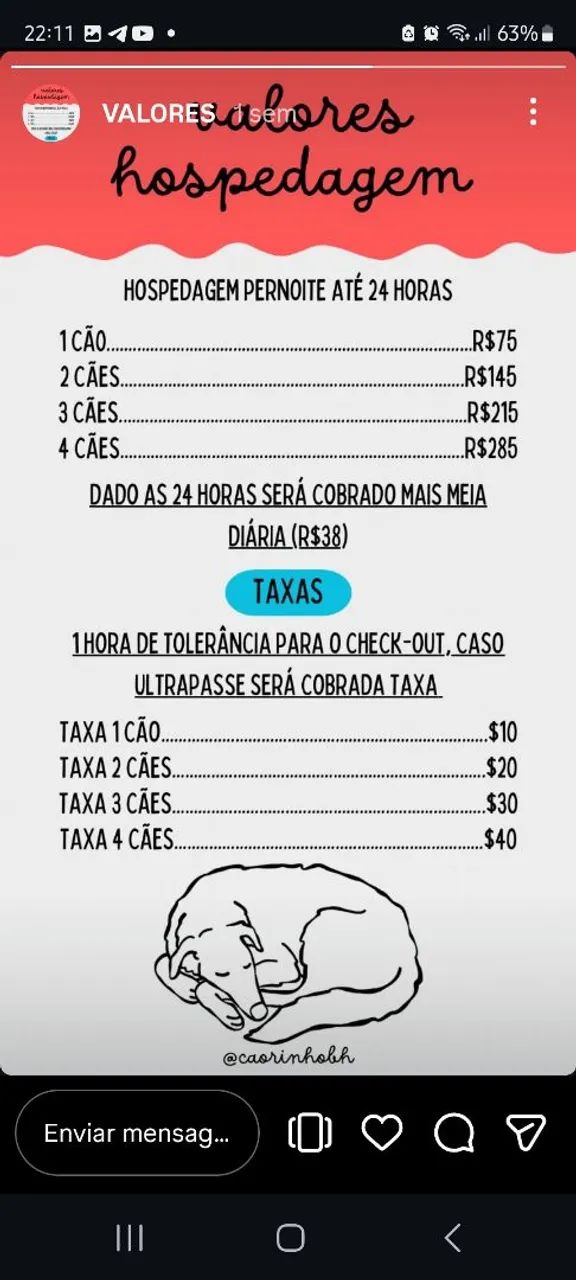 Hospedagem pet/ cachorro  - Foto 5