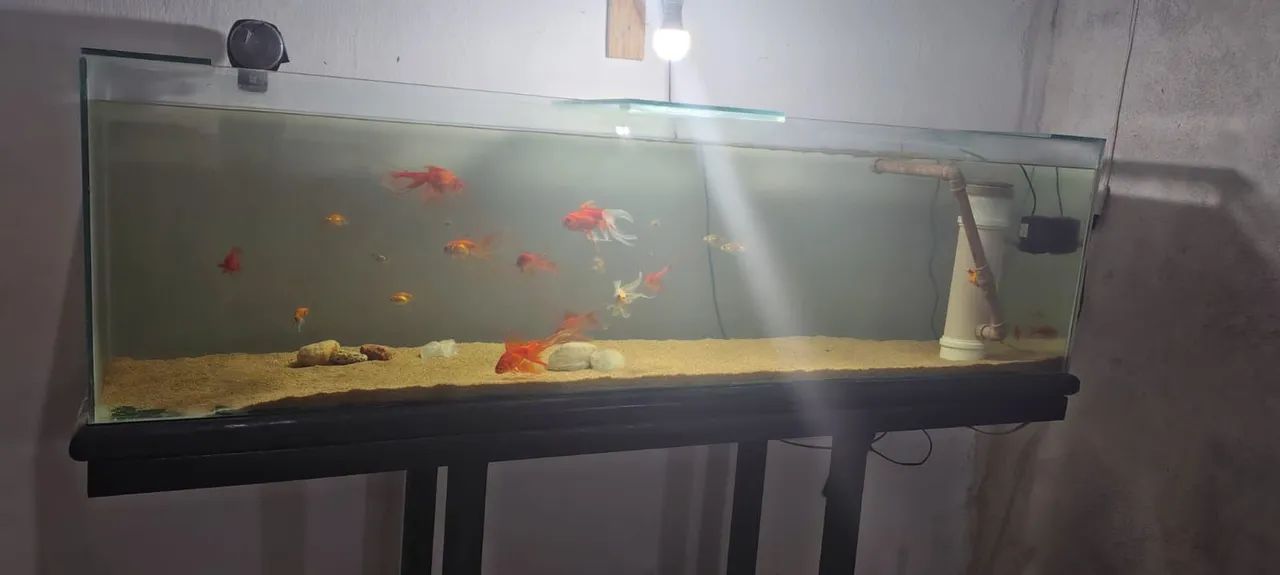 Aquário com movel de metalon - Foto 2
