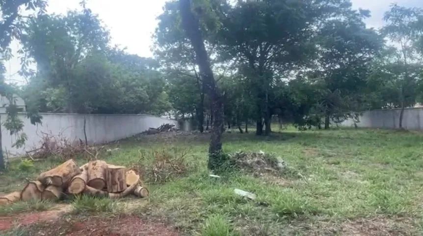 Terreno senador canedo - Foto 3