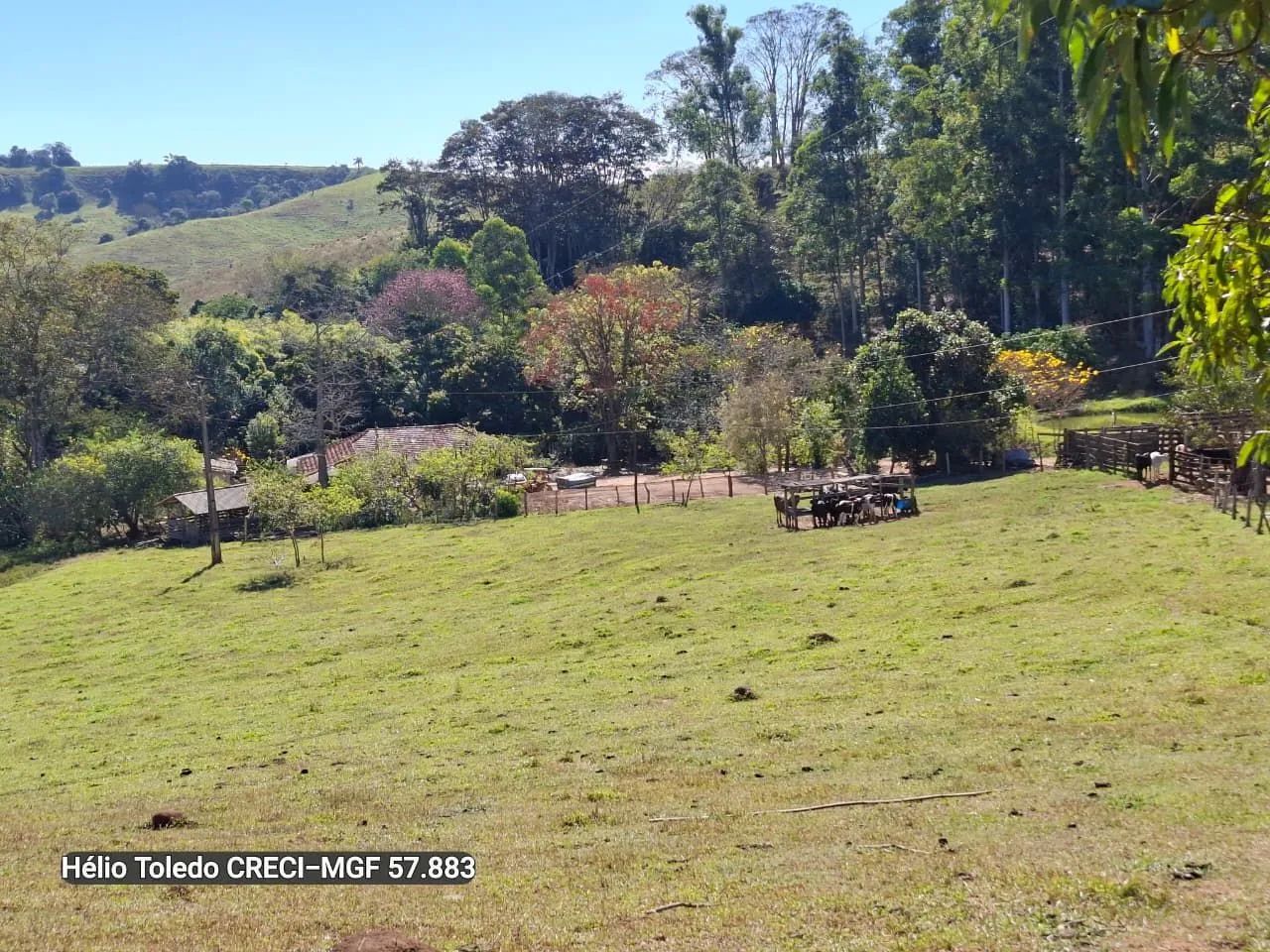 Sítio 19 Hectares Brazópolis-Mg <br>