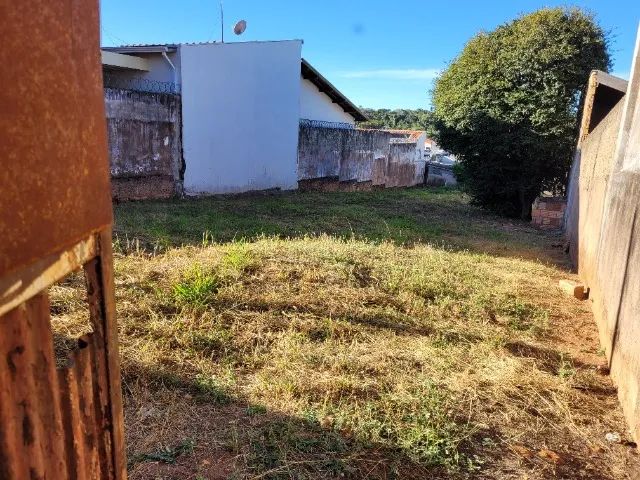 Foto - Garça - Williams