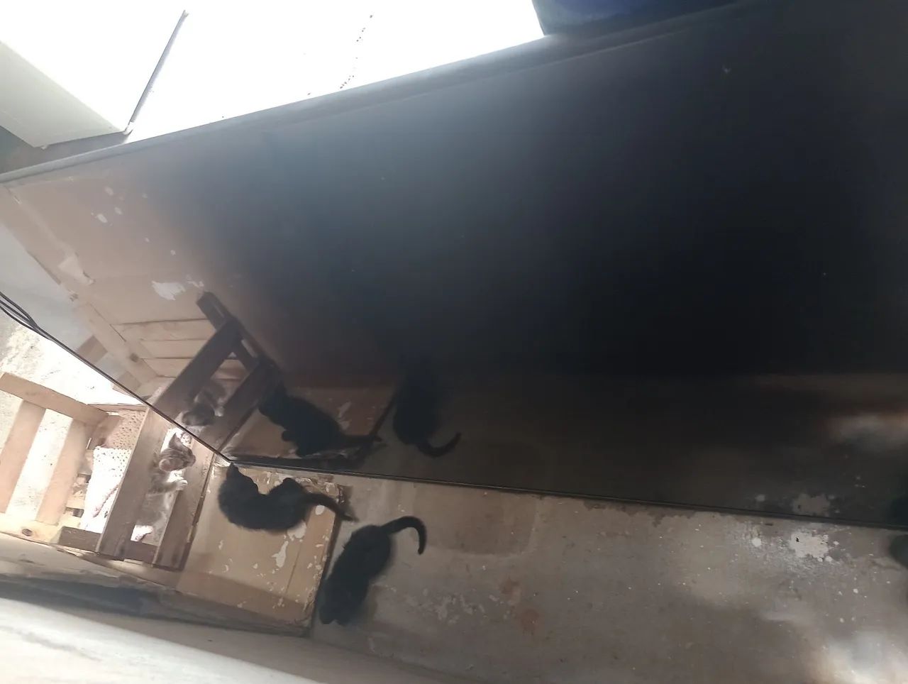 Tv 65 Polegadas Samsung Para Doação  - Foto 4