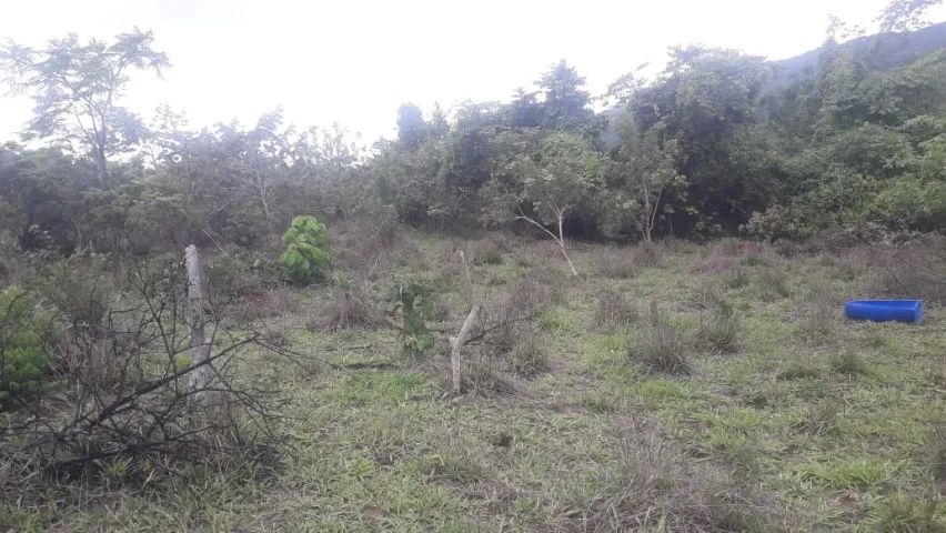Terreno 390 hectares - Foto 4