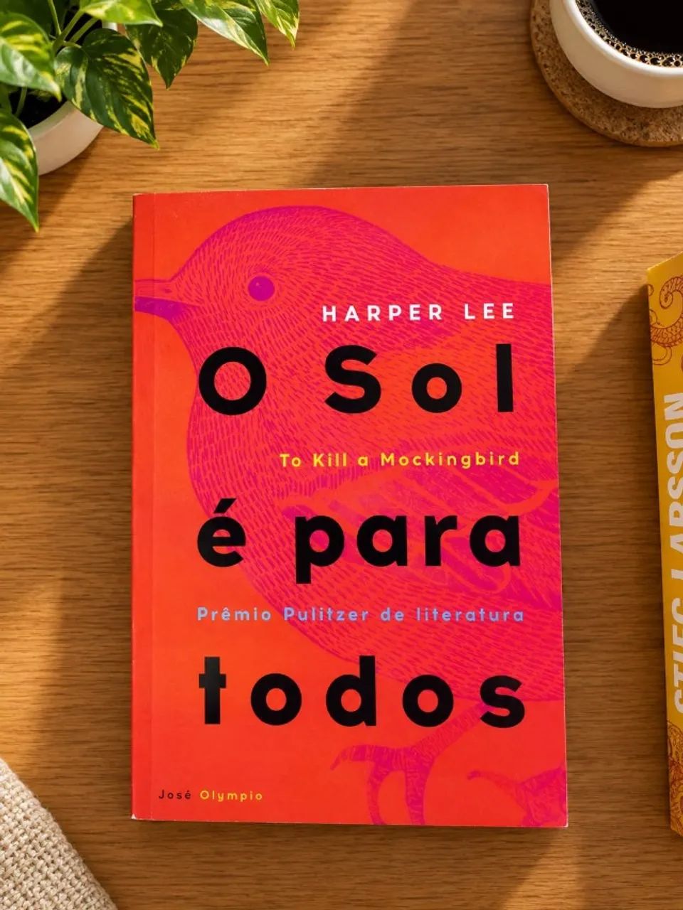 HARPER LEE - O SOL E PARA TODOS