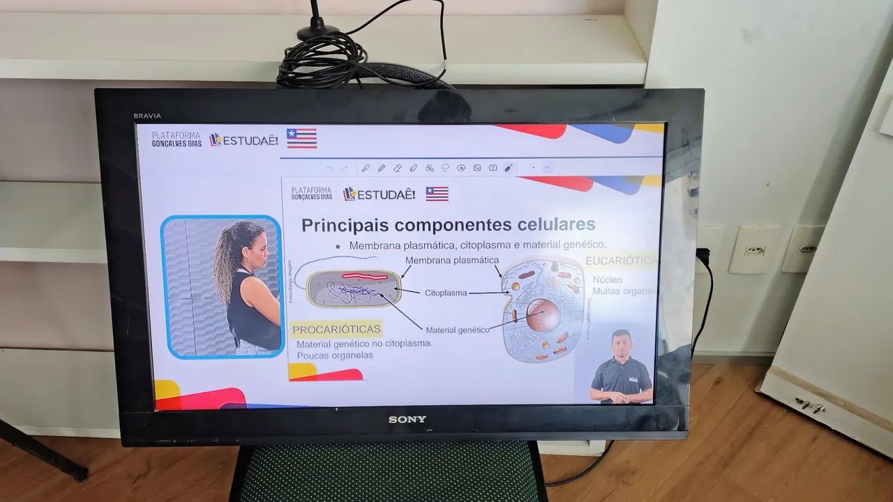 TV Sony Bravia 32 polegadas 