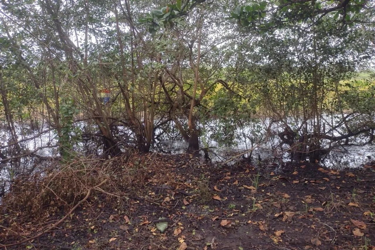 sítio em Marechal Deodoro! - Foto 3