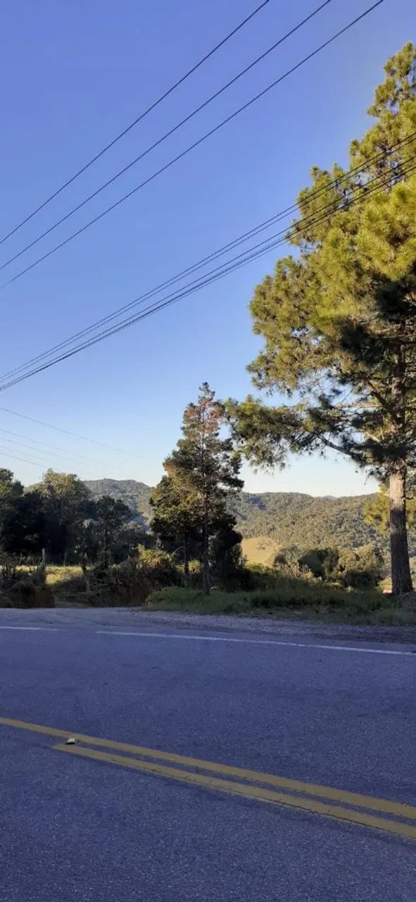 Em Rancho Queimado 2 hectares a venda  - Foto 5