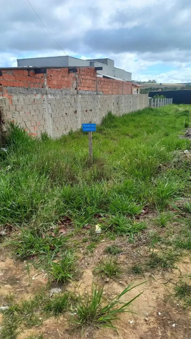 Foto - Sarapuí - Cai NÁgua