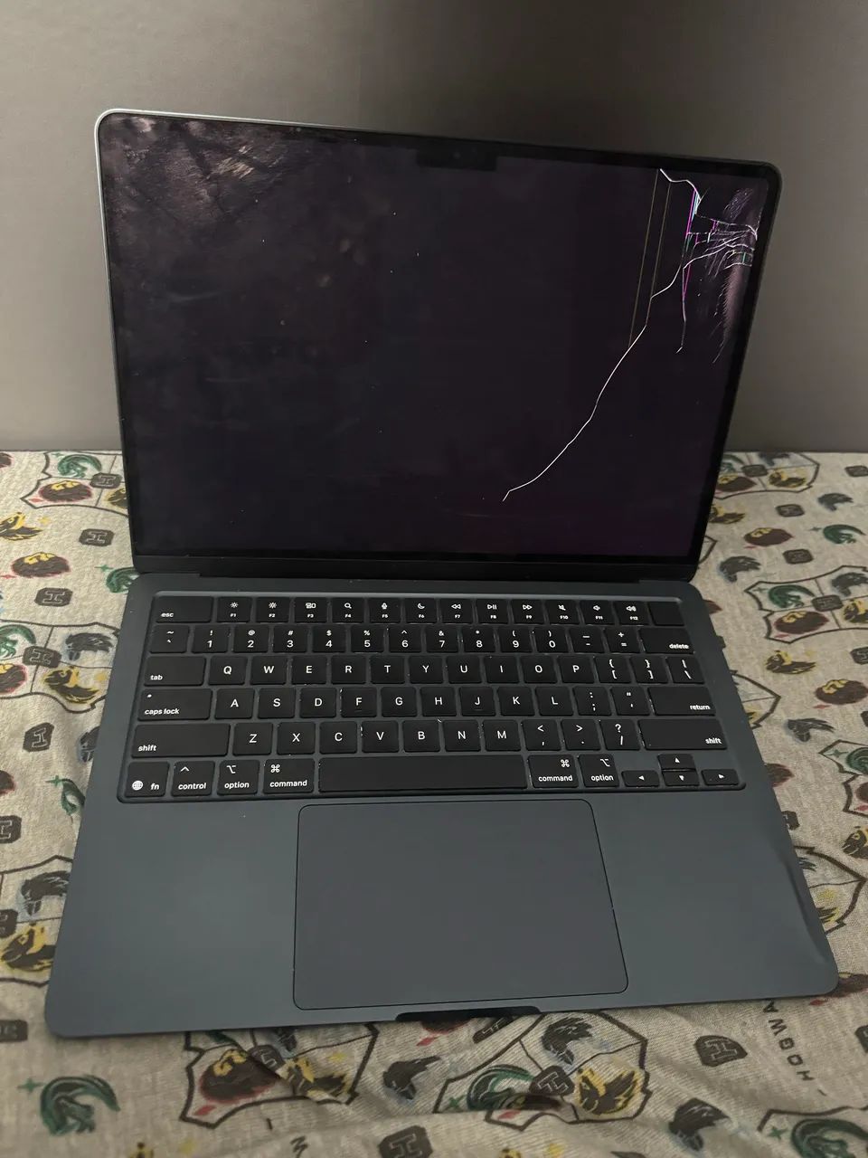 MacBook Air m4 256/16