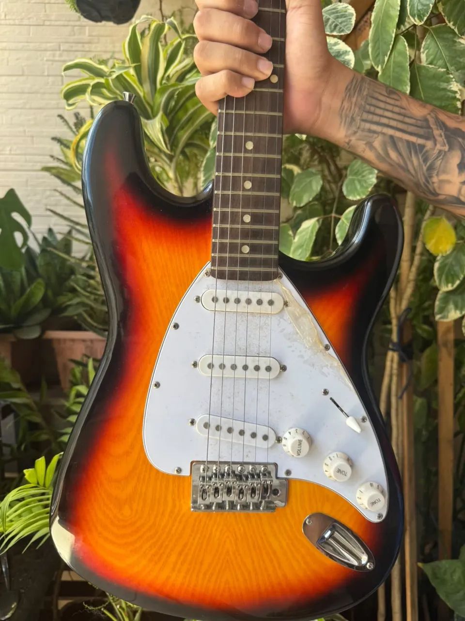 Guitarra Dolphin Zerada - Foto 2