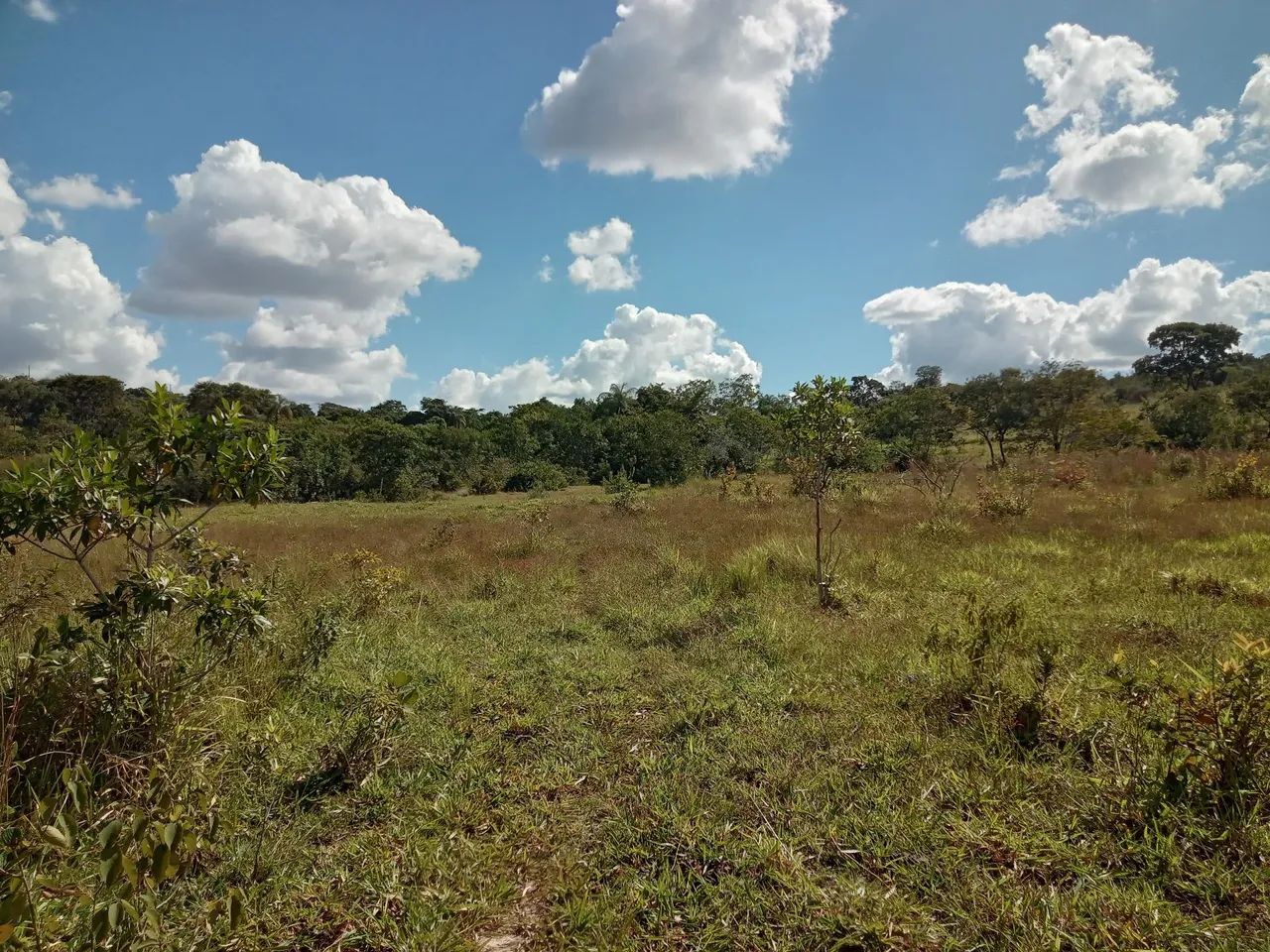 Lote 2000 MTS 5,000 São José de Almeida  - Foto 4