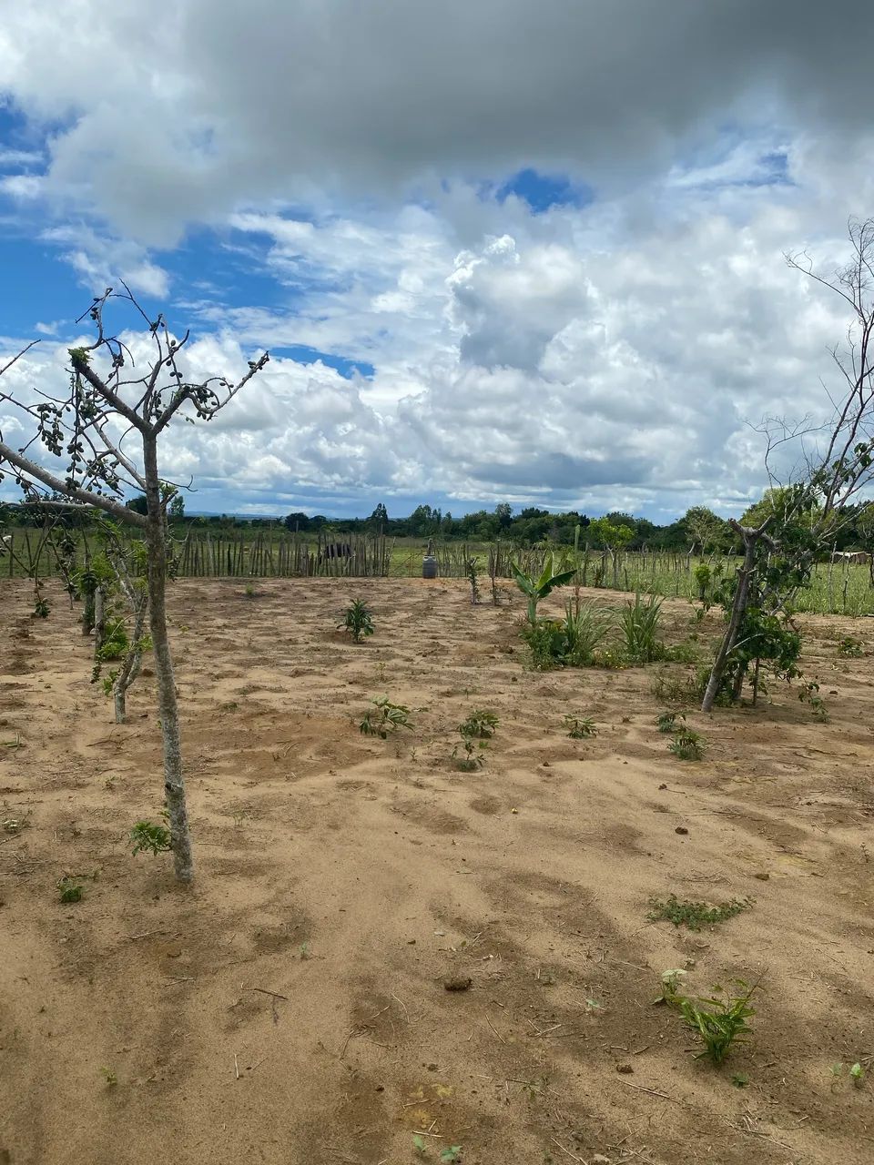 Terreno para sítio  - Foto 2