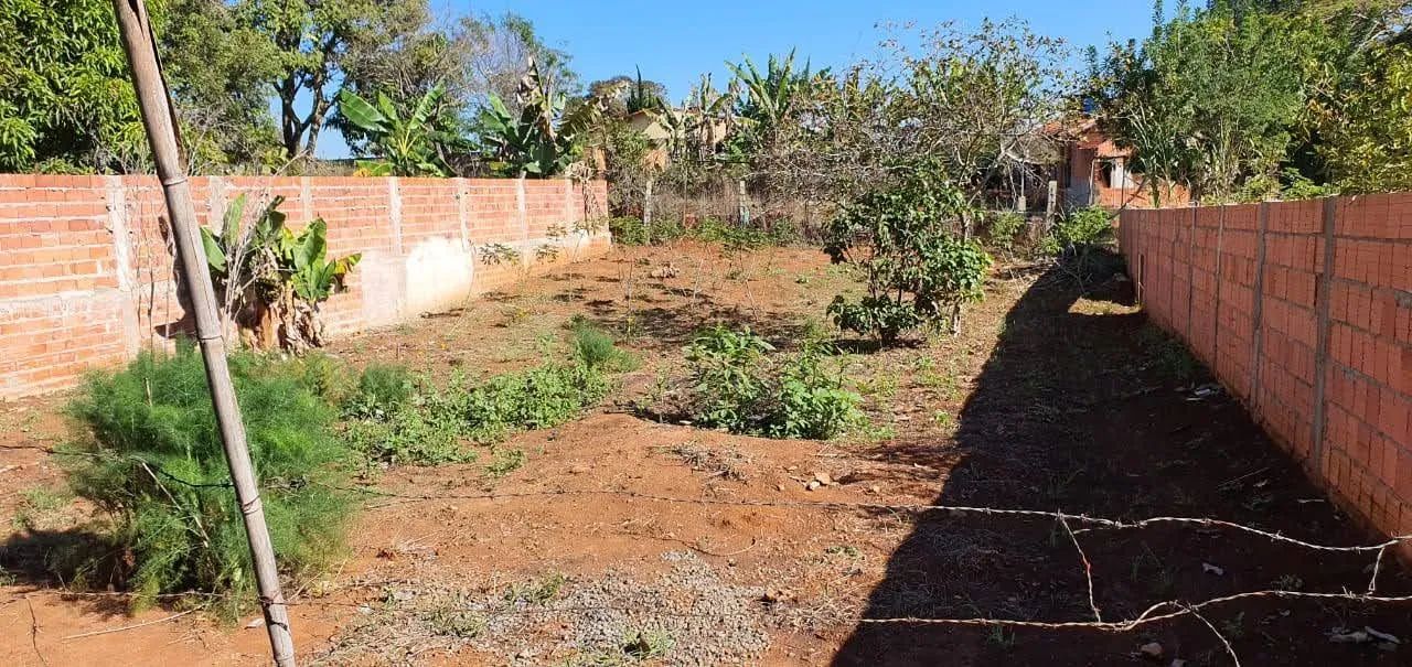 Terreno no interior de São Paulo  - Foto 3