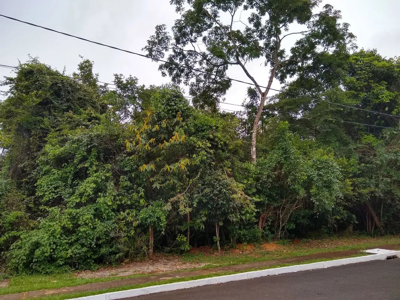 Foto - Brasília - Setor Habitacional Tororó (Jardim Botânico)