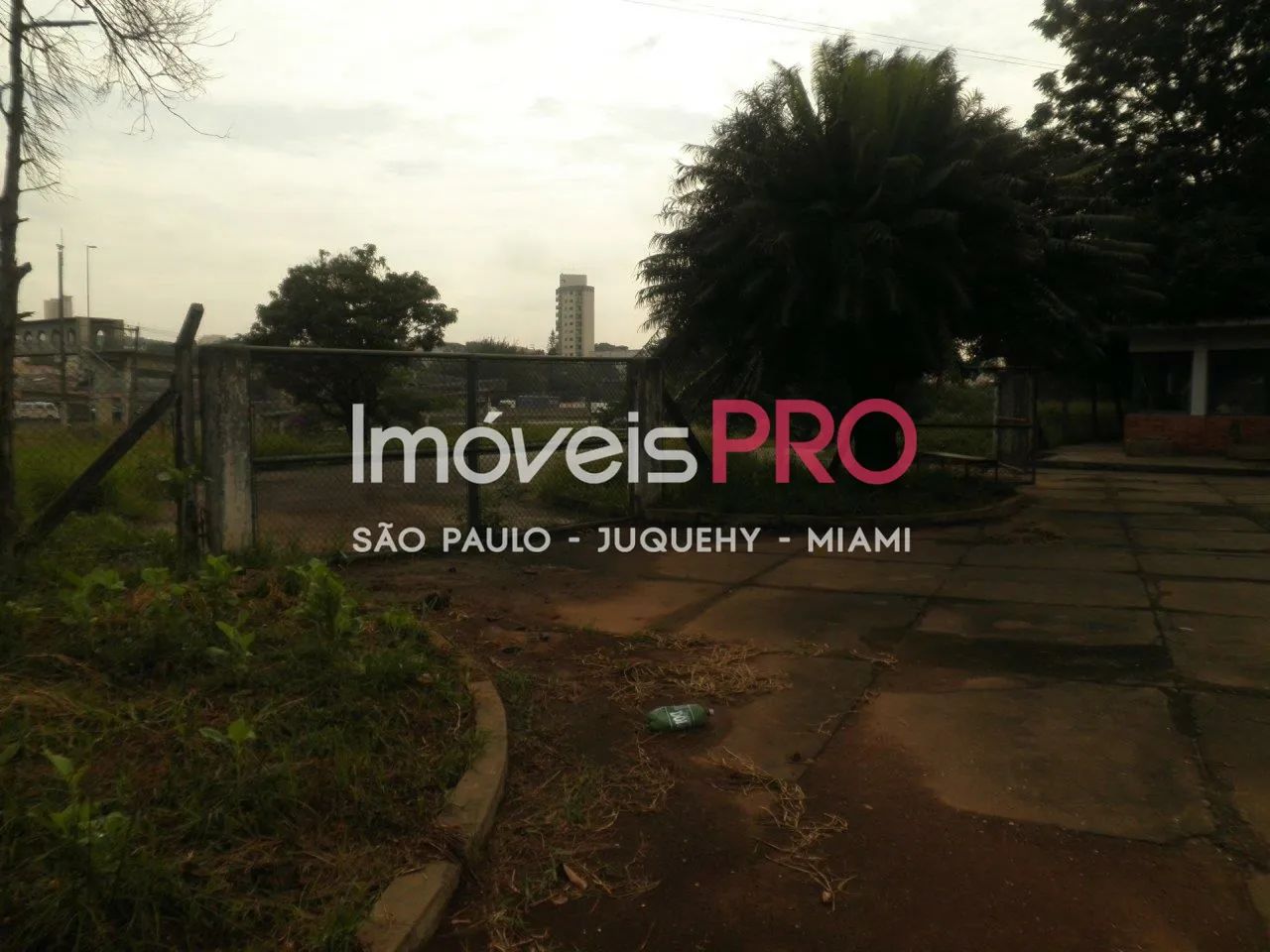 Terreno em Parque Anhangüera com 20.000m² - Foto 3