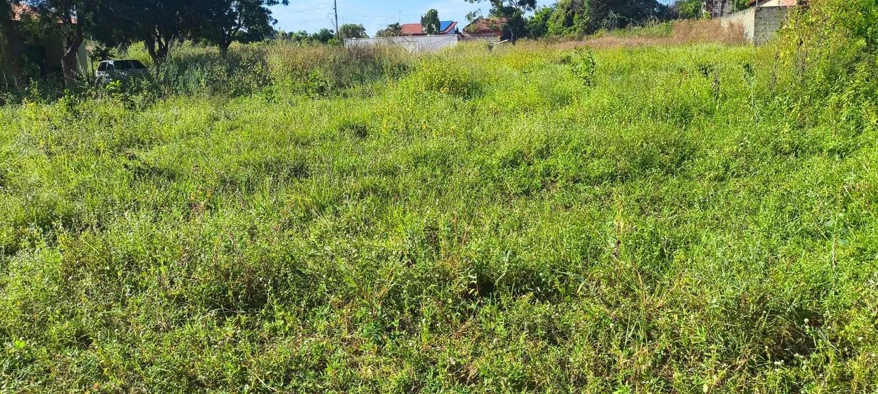 Vendo terreno na morada leste Cascavel  - Foto 3