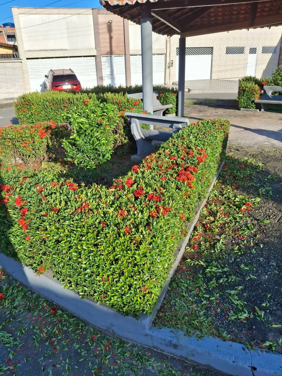 Roçagem, jardinagem, poda e corte de grama. - Foto 5